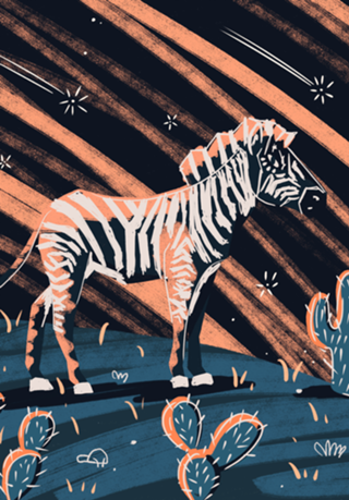 Night Zebra