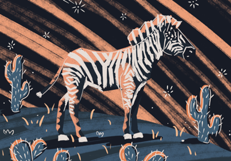 Night Zebra