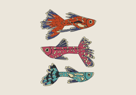 Peixe de Aquário