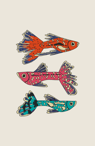 Peixe de Aquário