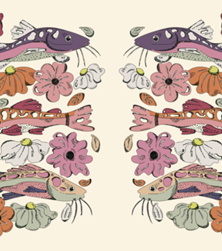 Peixe Floral