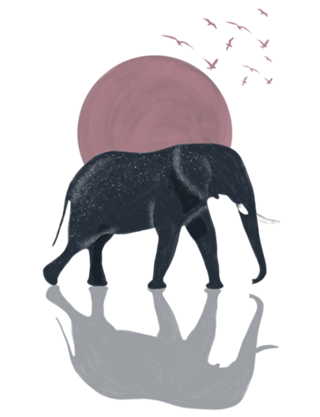 Elefante