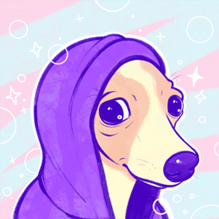 Cão moletom