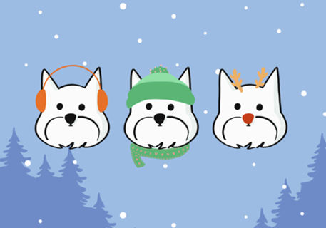 Westie no inverno