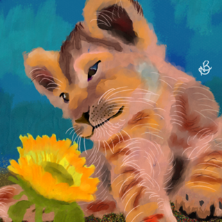 Lion and sunflower