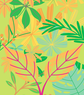Tropical