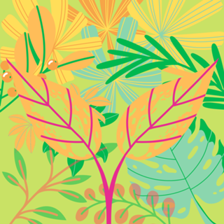 Tropical
