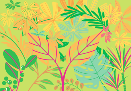 Tropical