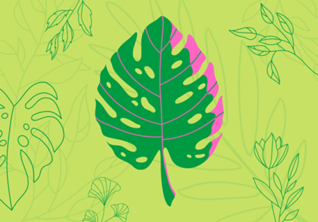 Folha verde