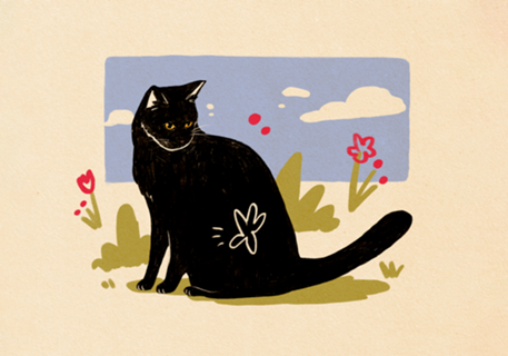 Black Cat