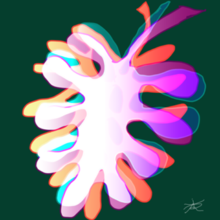 Folhas