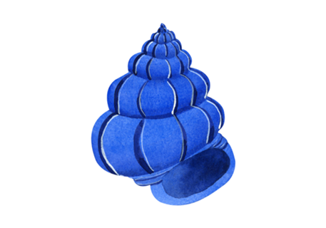 Concha Azul