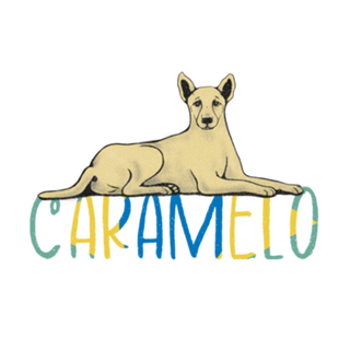 Vira Lata Caramelo Brasil Brand