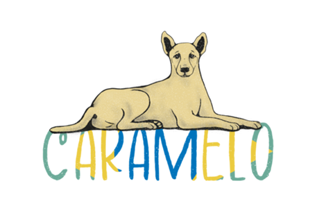 Vira Lata Caramelo Brasil Brand