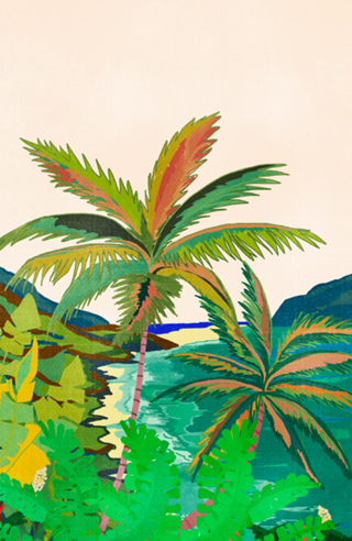 PARADISO TROPICALE
