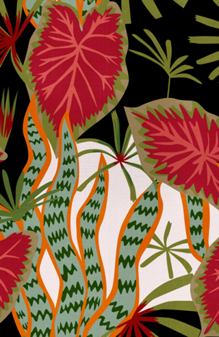 NATUREZA TROPICALE