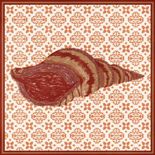 LA CONCHA II