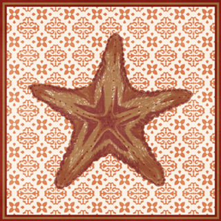LA CONCHA III