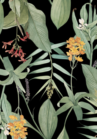 BOTANIC FLOWERS