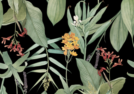 BOTANIC FLOWERS