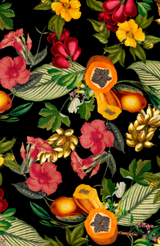 FLORESTA DE FRUTAS