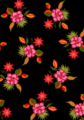 BELAS FLORES