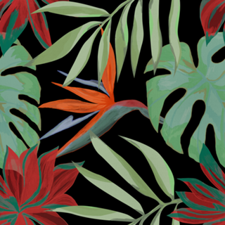 A FLORESTA TROPICAL