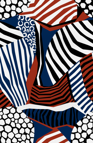 ANIMAL PRINT COLOR