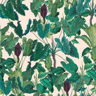 FOLHAS BOTANICAS