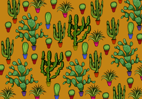 Cactos