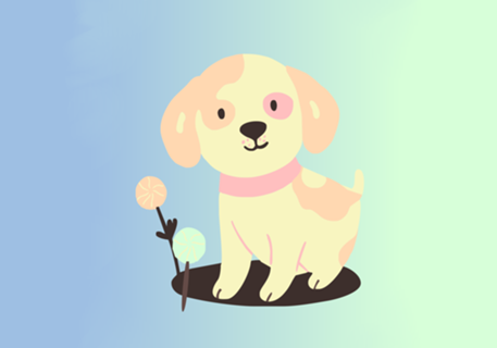 Candy Dog