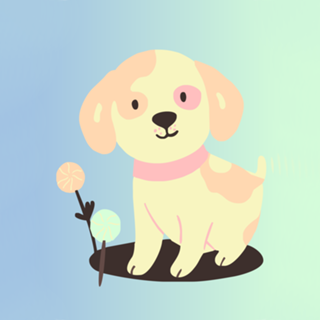 Candy Dog