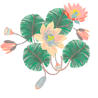 Sanshara