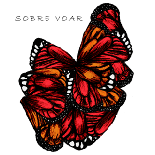 Butterfly Print