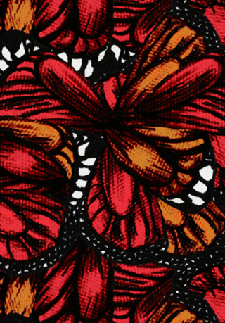 Butterfly Print