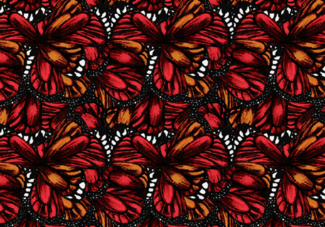 Butterfly Print
