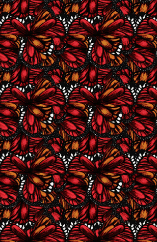 Butterfly Print