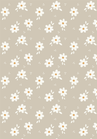 Margaridas Taupe - Floral Minimalista