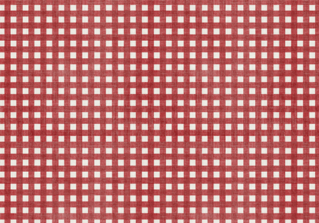 Xadrez Vermelho Picnic P - Coleção Vicky - Gingham