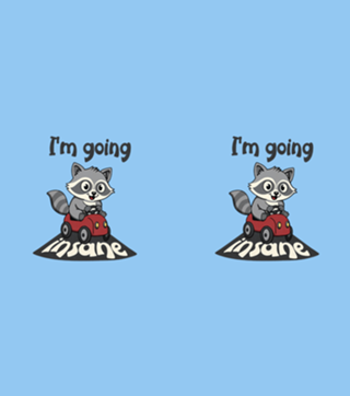 I'm Going Insane - Raccoon