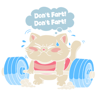 Don't Fart Gym Cat