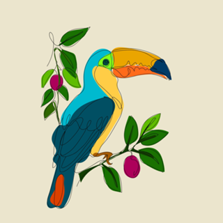Tucano LINE arte