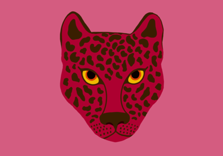 Onça pink