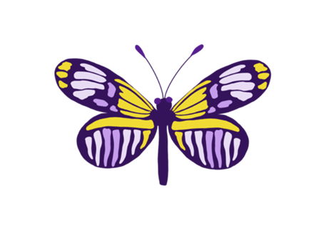 Borboleta linda