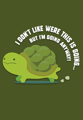 LOST TURTLE