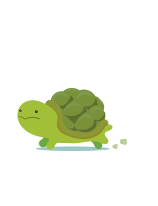 LOST TURTLE
