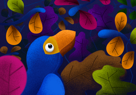 The Bird and the Colors