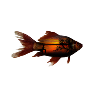 Camiseta Peixe e Pescaria Reversa