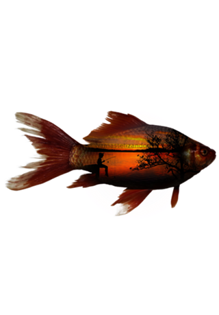 Camiseta Peixe e Pescaria Reversa