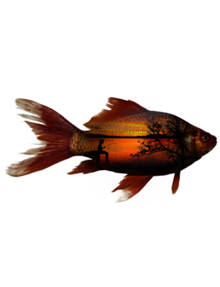 Camiseta Peixe e Pescaria Reversa